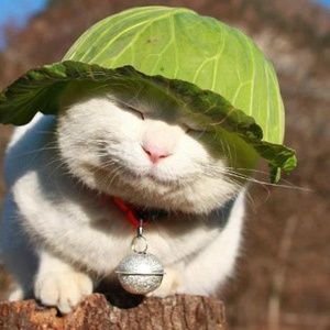 Vitamin mỗi ngày's profile picture