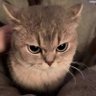 花西子 profil fotoğrafı