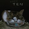 ten-ten profil fotoğrafı