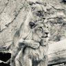 Фото профиля ByrmOmer