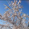 Profilbild von はる菜