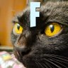 Profilbild von ♠️ Markez_9 🐈⬛