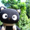 soso's profile picture
