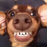Matthew's's profile picture