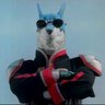 nrnishavingfun's profile picture