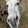 Profilbild von Gregory B