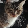 Matilda🌸's profile picture