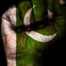 Muhammad Iqbal's profile picture