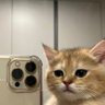 El Aguatero de Cubos's profile picture
