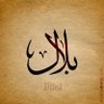 🔻🔻Muhammad bilal🔻🔻's profile picture