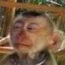 MonoPeluo🇨🇱 🌳🕊️🇵🇸's profile picture