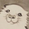 うみひょう's profile picture