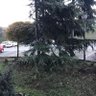 Seyyf 🇨🇦🇹🇷 profil fotoğrafı