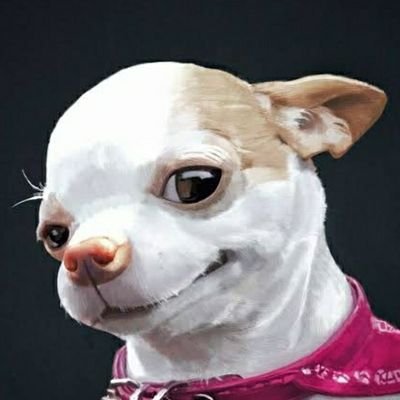Mr. DogZin's profile picture