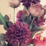 Alaa eldeeb's profile picture