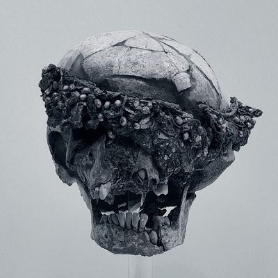 Ewelina's profile picture