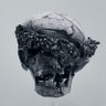 Ewelina's profile picture