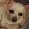 Profilbild von shelley messerli