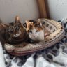 幸せちぃ&happylucky💕💘's profile picture