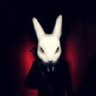 TheKnotyGuy's profile picture