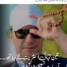 Profilbild von Rana waseem