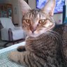 @LindaK profil fotoğrafı