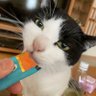 Profilbild von penkey