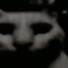 الكندي ٢'s profile picture