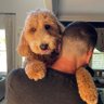 Chris Russo profil fotoğrafı