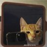 Profilbild von Anderson