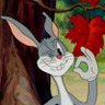 Lupus's profile picture