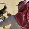 Фото профиля ‏᷂سافر،المالكي ✘