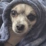 Profilbild von Ry.an