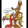 Pero Kojot's profile picture