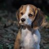 Sherry Murphy's profile picture