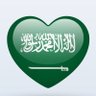 KSA profil fotoğrafı