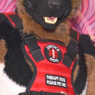 Spicy Service Dog 🐕🦺's profile picture