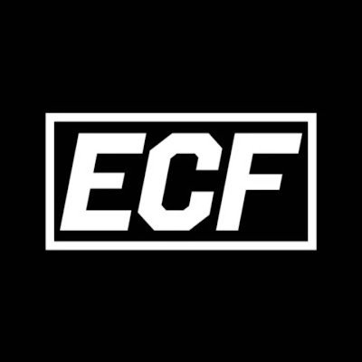 Elite College Football's profile picture