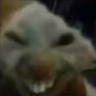 Danken's profile picture