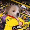 Andriu's profile picture