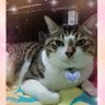 ひーchan 的头像