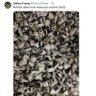 ALLEN's profile picture