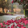 Wang77778 profil fotoğrafı