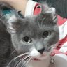 Фото профиля Maru💖