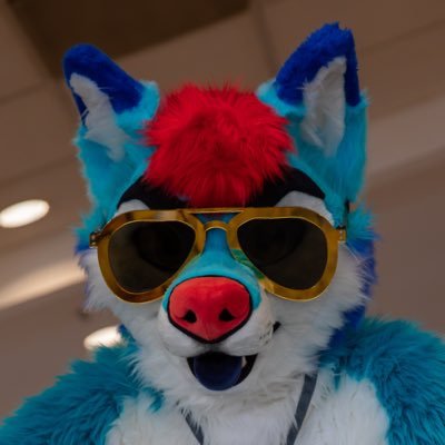 slush_husky's profile picture