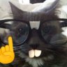 melsey 💀's profile picture