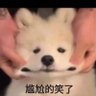 L. 的头像