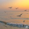 秋水(互fo) profil fotoğrafı