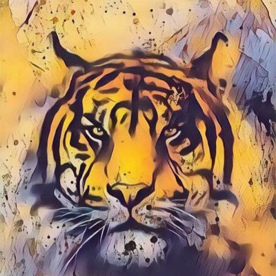f1ff2f3's profile picture