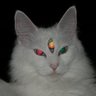 Profilbild von cristianxt